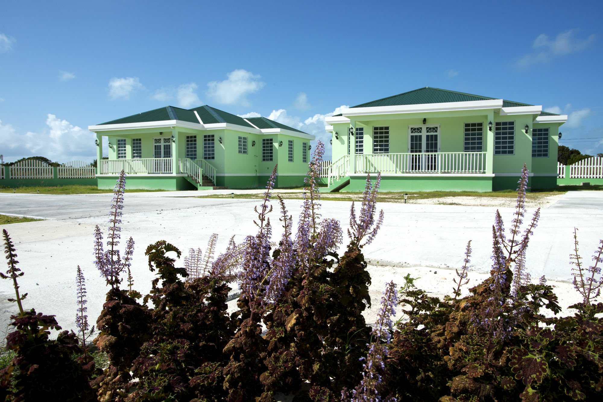 The Settlement Sea Grape Villas מראה חיצוני תמונה